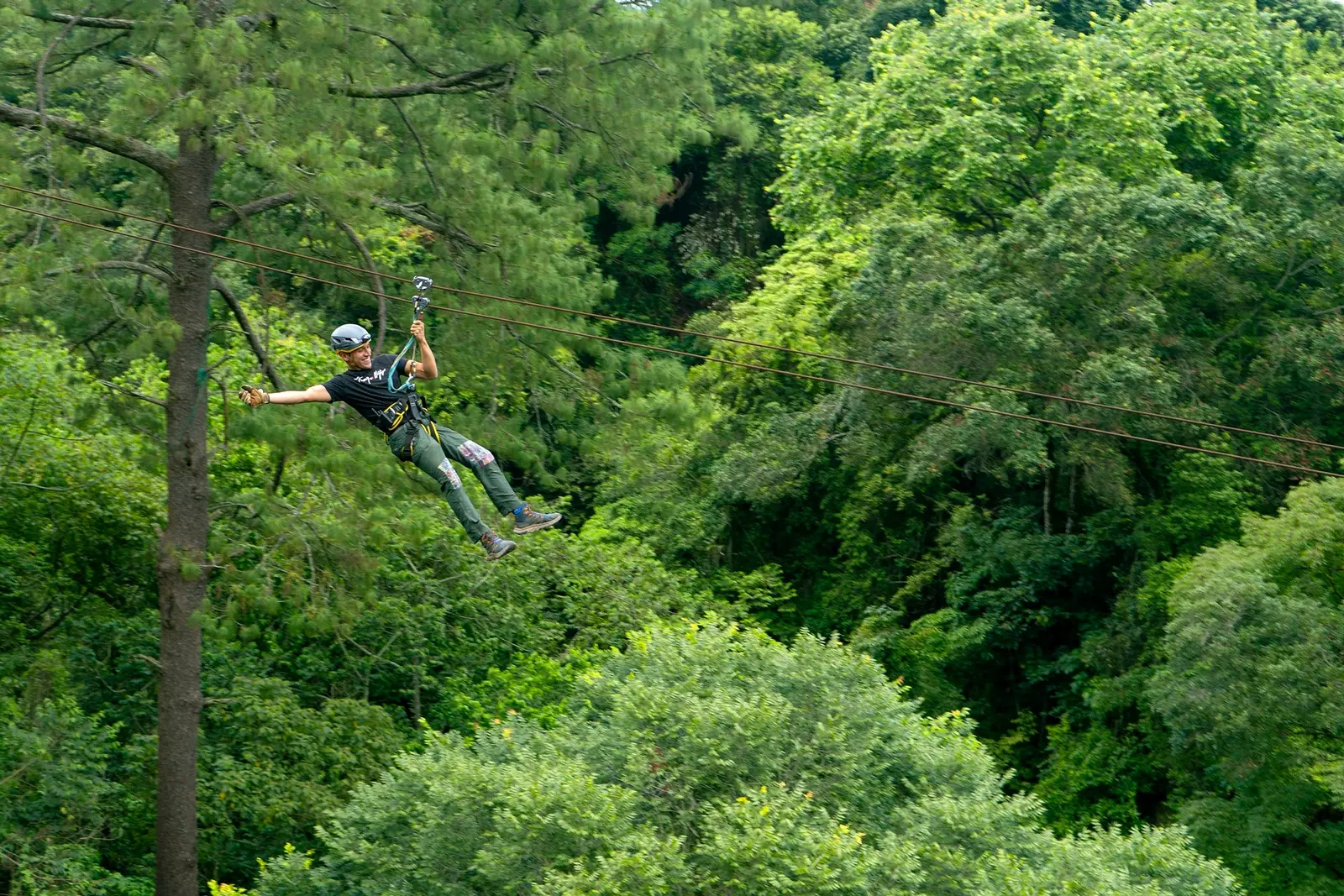 Canopy entre los árboles de Cayalá