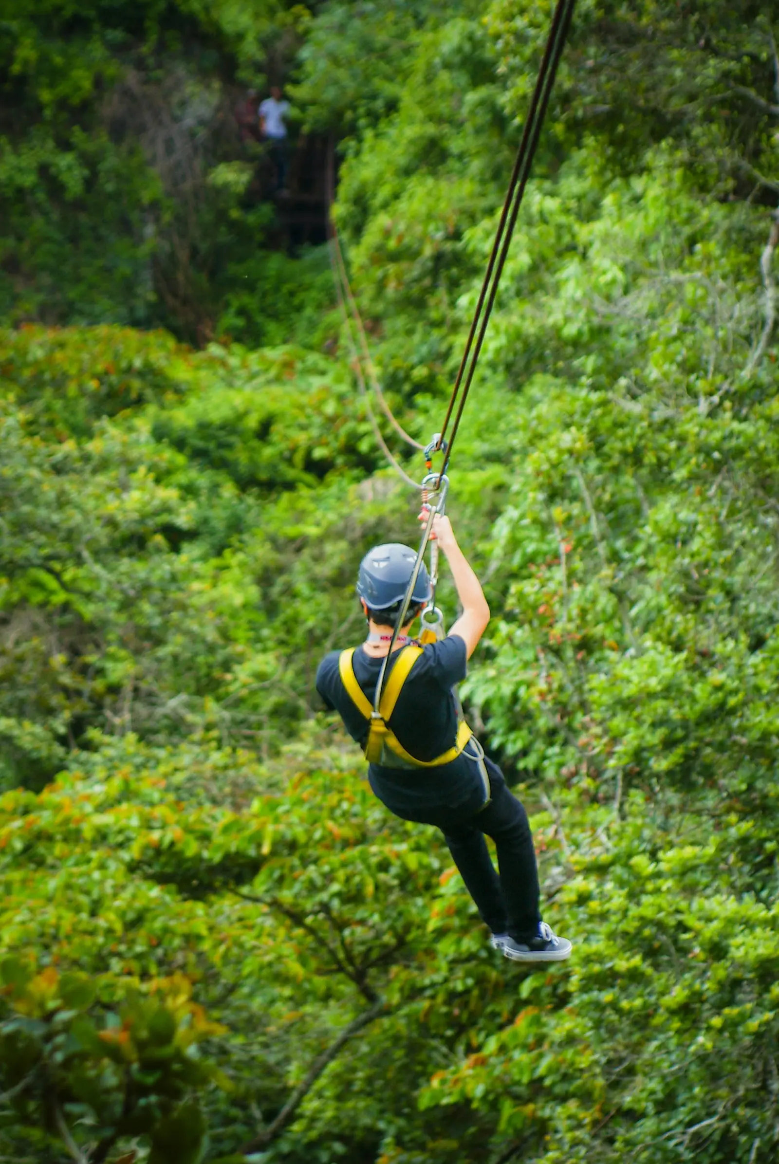 Persona volando en el canopy de Vertika, colgada del cable sobre los árboles