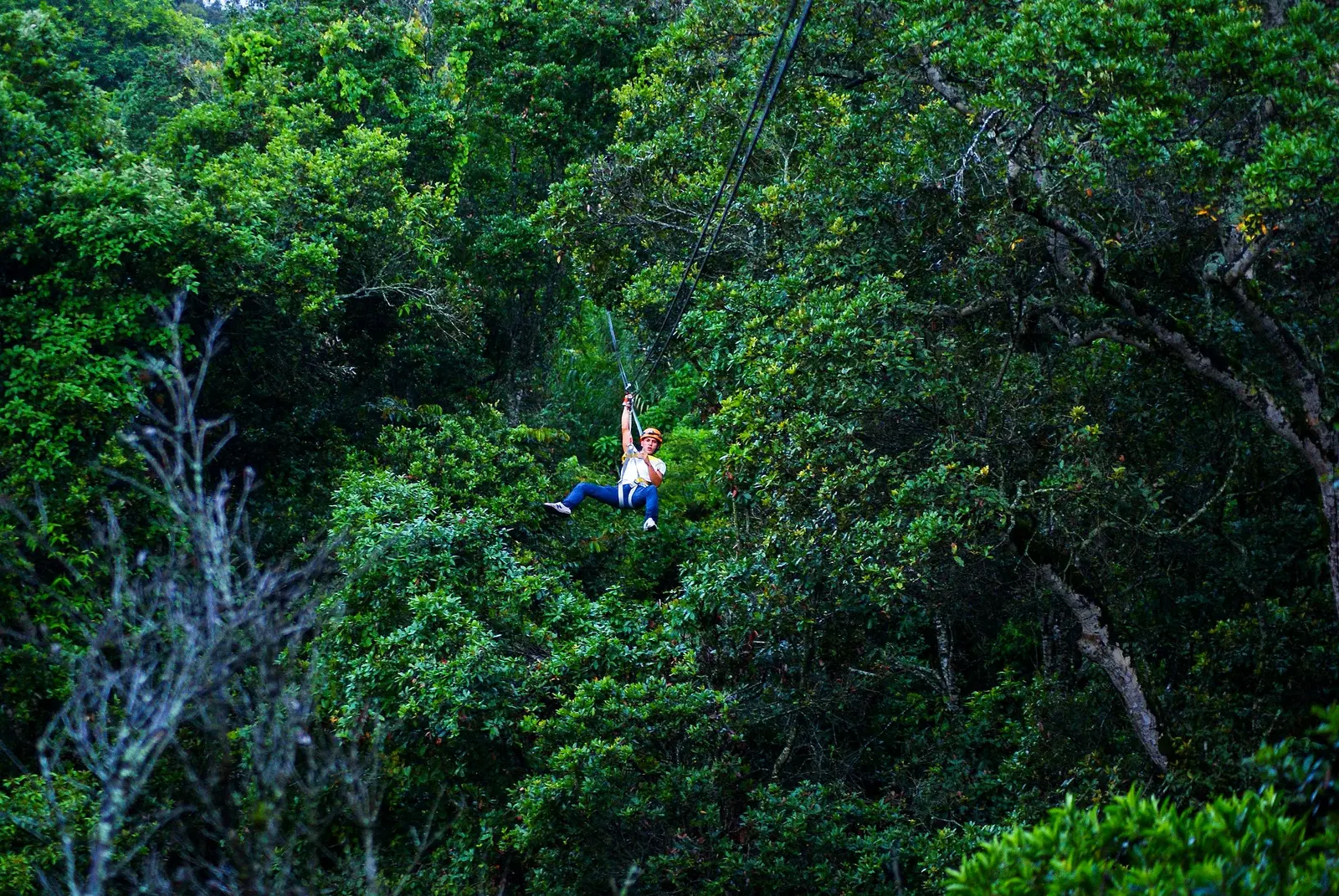 Canopy cruzando el barranco